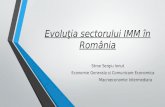 Evolutia sectorului imm in romania