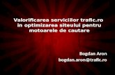Valorificarea serviciilor trafic.ro in optimizarea siteului pentru motoarele de cautare - Bogdan Aron