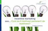 Cosmin Lacatusu - Incentive marketing