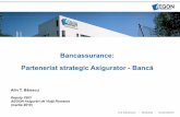 02 bancassurance, parteneriat strategic asigurator   banca [compatibility mode]