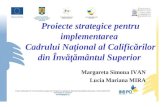 Proiectele DECIS & DOCIS - Margareta Ivan, Lucia Mira