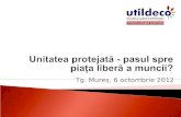 Unitatea protejata- pasul spre piata libera a muncii