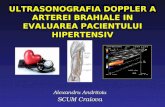 brahial artery in hyperternsion