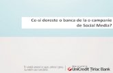 Unicredit tiriac bank_bizsmscamp