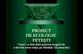 Proiect De Ecologie Fetesti Prezentare