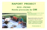 Eco picnic 2010 - Rănile provocate de OM