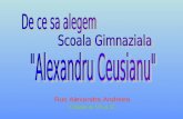 Alexandru ceusianu