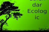 Calendar ecologic