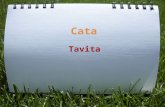 Cata Tavita Prezentare