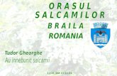 Orasul Salcamilor Braila Romania (Nx Power Lite)