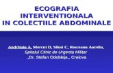 Ecografia interventionala in drenajul colectiilor abdominale