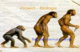 Proiect - Biologie pps