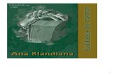 Blandiana, Ana - Calitatea de martor
