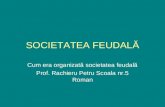 SOCIETATEA FEUDALA - ORGANIZARE