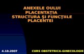 Anexele Oului. Placenta . Structura Si Functiile Placentei