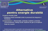 Alternative pentru energie durabilƒ - Prezentare