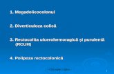 Curs 3 - Megadolicocolon Diverticuloza RCUH. Polipoza