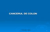 Curs 4 - Cancerul de Colon