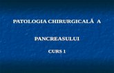 Curs 11 - Pancreas Curs 1