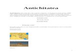 ISTORIA OMENIRII-ANTICHITATEA 1