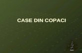 Case Din Copaci
