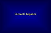 Cirozele hepatice