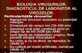 BIOLOGIA VIRUSURILOR09