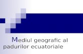 Mediul Geografic Al Padurilor Ecuatoriale