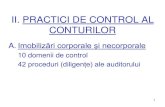 Material Ajutator AUDIT Practici de Control Al Cont