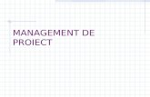 Management de Proiect