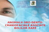 Anomalii Oro-Dento-craniofaciale Asociate Bolilor Rare