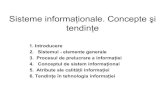 C-3.Sisteme Informationale-Concepte Si Tendinte