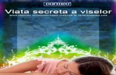 Viata Secreta a Viselor - Ghid Pt Interpretarea Viselor - Dormeo