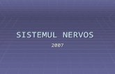 Anatomia sistemului nervos