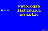Curs OG - Patologia Amniotica