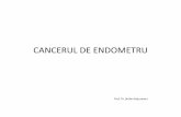 Cancer de Endometru