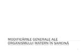 36049493 Modificarile Generale in Sarcina