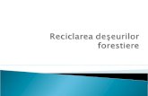 reciclarea deseurilor forestiere