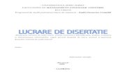 Lucrare Disertatie 2009 - Audit Intern