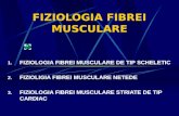 Fiziologia fibrei musculare