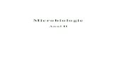 microbi 2 corectat