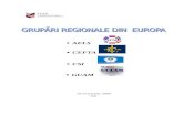 Grupari Regionale Din Europa 1