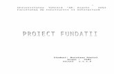Proiect Fundatii[Integral Etape 1-7]