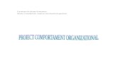 proiect cultura organizationala