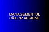 39653554 Management Cai Aeriene