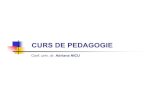 Pedagogie 1_curs_6_Curriculum - Delimitari Conceptuale