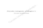 Curs Circuite Integrate Analogice