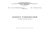 Audit Financiar - Suport Aplicativ