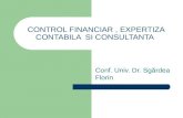 Control Financiar , Expertiza Contabila Si Consultant A Var 1
