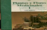 Plantas Y Flores Medic in Ales Fotos